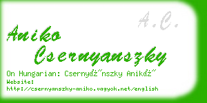 aniko csernyanszky business card